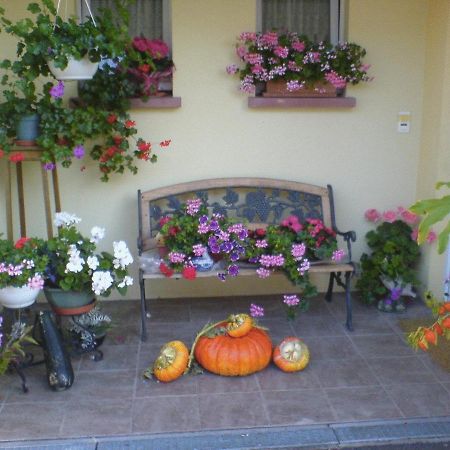 Chez Joséphine Bed and Breakfast Metting Exterior foto