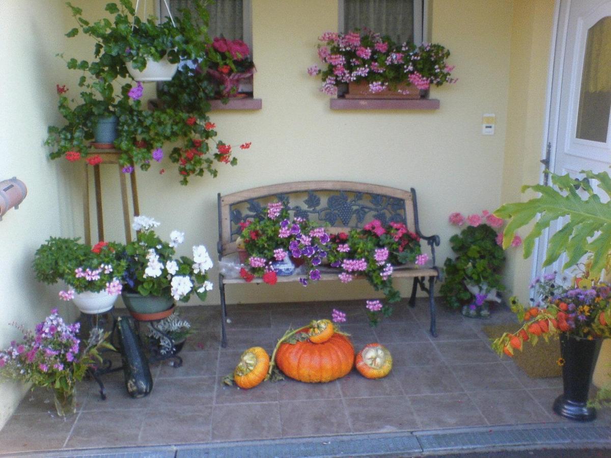 Chez Joséphine Bed and Breakfast Metting Exterior foto